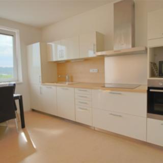 Pronájem bytu 3+kk 94 m² Brno Husovice, Cacovická