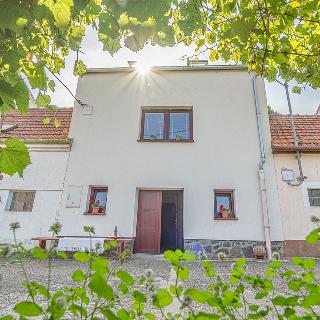 Prodej ostatní nemovitosti 96 m² Bořetice