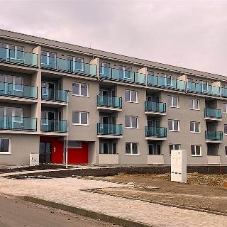 Prodej bytu 1+kk a garsoniéry 30 m² Hustopeče, Starovická