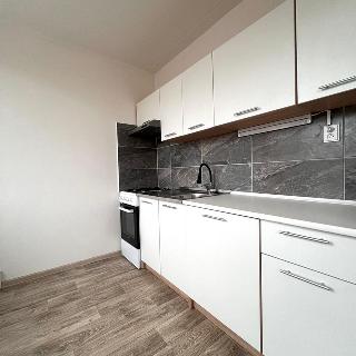 Pronájem bytu 3+1 674 m² Most