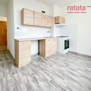 Pronájem bytu 2+1 67 m² Chomutov