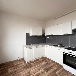 Pronájem bytu 2+1 59 m² Chomutov, Kamenný vrch