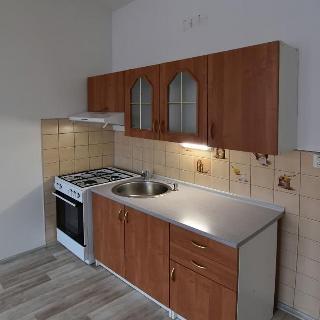 Pronájem bytu 1+1 36 m² Chomutov, Karla Buriana