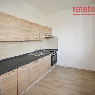 Pronájem bytu 2+1 53 m² Chomutov, Blatenská