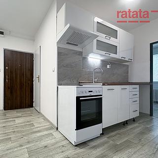 Pronájem bytu 3+1 63 m&sup2; Chomutov