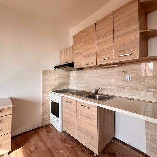 Pronájem bytu 1+1 33 m² Chomutov, Březenecká