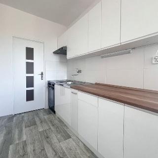 Pronájem bytu 2+1 61 m² Chomutov, Dřínovská