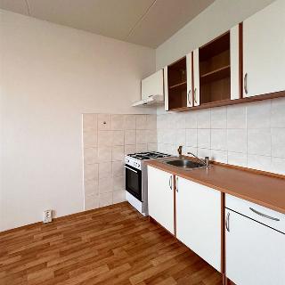 Pronájem bytu 1+1 39 m² Jirkov, Smetanovy sady