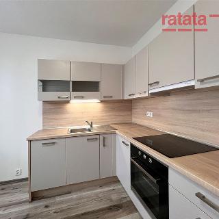 Pronájem bytu 1+1 35 m² Chomutov, Písečná