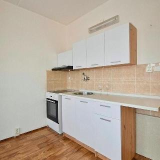 Prodej bytu 1+1 35 m² Chomutov, Zahradní