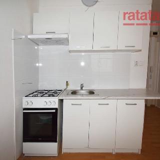 Pronájem bytu 1+1 40 m² Chomutov, Hutnická