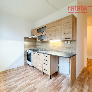 Pronájem bytu 2+1 51 m² Chomutov, Václavská