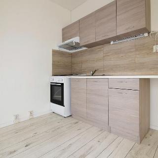 Pronájem bytu 1+1 35 m² Chomutov, Zahradní