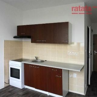 Pronájem bytu 1+1 35 m² Chomutov, Skalková