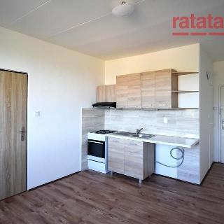 Pronájem bytu 1+1 33 m² Chomutov, Březenecká