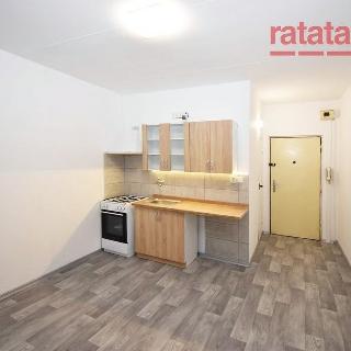 Pronájem bytu 1+1 35 m² Chomutov, Březenecká