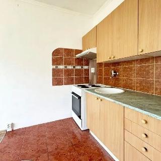 Pronájem bytu 1+kk a garsoniéry 20 m² Jirkov, Studentská