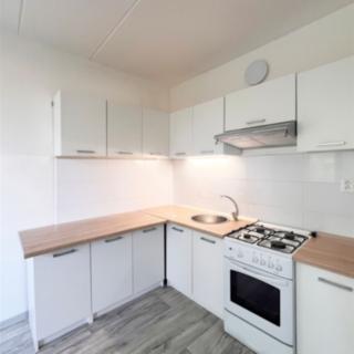 Pronájem bytu 1+1 36 m² Jirkov, Hornická