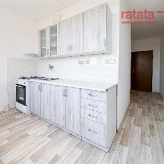 Pronájem bytu 2+1 55 m² Jirkov, Hornická