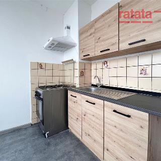 Pronájem bytu 1+1 34 m² Most, Javorová