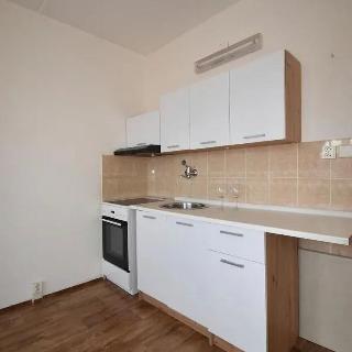 Pronájem bytu 1+1 35 m² Chomutov, Zahradní