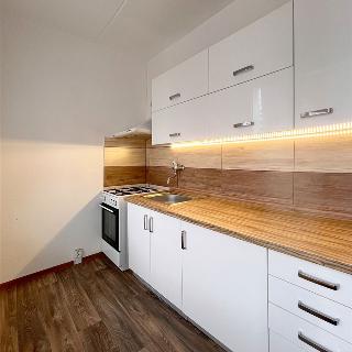 Pronájem bytu 2+1 51 m² Chomutov, Skalková