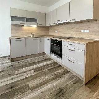 Pronájem bytu 1+1 35 m² Chomutov, Písečná