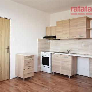 Pronájem bytu 1+1 33 m² Chomutov, Březenecká