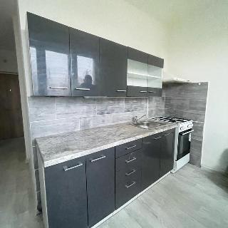 Pronájem bytu 2+1 54 m² Chomutov, Cihlářská