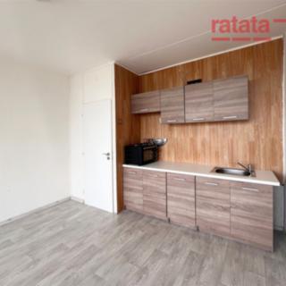 Pronájem bytu 1+kk a garsoniéry 22 m² Chomutov, Seifertova