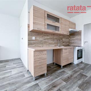 Pronájem bytu 2+1 63 m² Chomutov, Březenecká