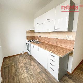 Pronájem bytu 2+1 51 m² Chomutov, Skalková