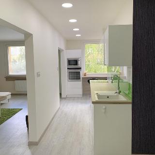 Pronájem bytu 2+1 62 m² Litoměřice, Alšova