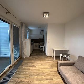 Pronájem bytu 1+kk a garsoniéry 30 m² Praha, V háji