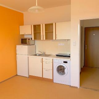 Pronájem bytu 1+kk a garsoniéry 22 m² Ústí nad Labem, Mošnova