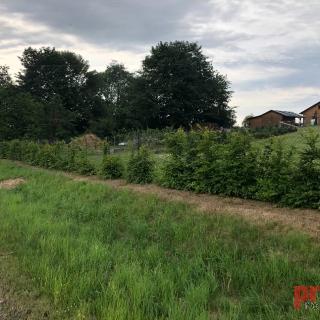 Prodej stavební parcely 1 252 m² Vyskytná