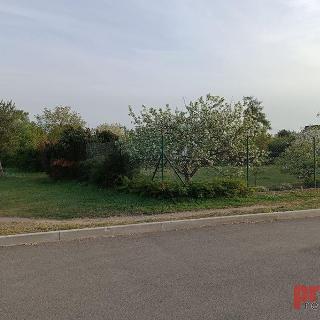 Prodej stavební parcely 729 m² Mlékojedy, 