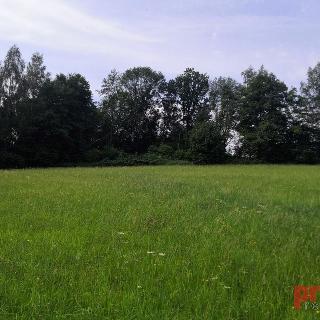 Prodej zemědělské půdy 13 728 m² Humpolec, 