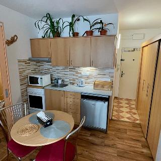 Pronájem bytu 1+1 36 m² Pelhřimov, Pražská