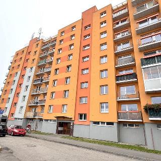 Prodej bytu 4+1 90 m² České Budějovice, Průběžná