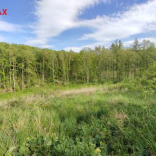 Prodej lesa 17681 m² Vladislav