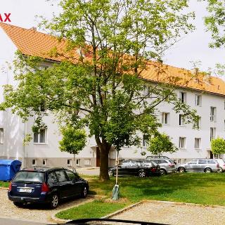 Pronájem bytu 2+1 50 m² Telč, Jana Žižky