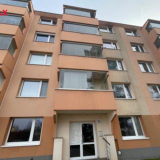 Pronájem bytu 1+1 33 m² Polná, Palackého