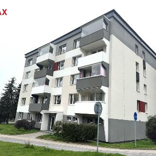 Prodej bytu 3+1 74 m² Jihlava, Březinova