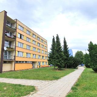 Pronájem bytu 1+1 43 m² Kamenice nad Lipou, Jírova