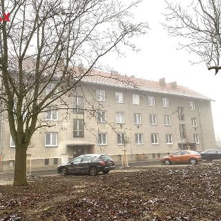 Pronájem bytu 2+1 50 m² Telč, Jana Žižky