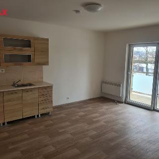 Pronájem bytu 2+kk 42 m² Pelhřimov, Krasíkovická