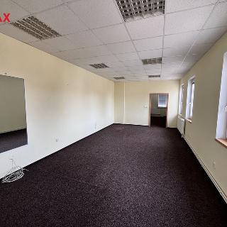 Pronájem kanceláře 55 m² Pelhřimov, Hodějovická