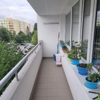 Prodej bytu 3+1 78 m² Praha, Přecechtělova