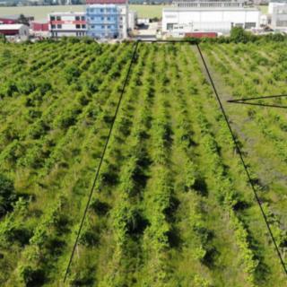 Prodej komerčního pozemku 2465 m&sup2; Brno